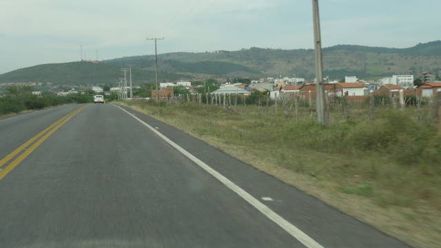 PRF e Prefeitura de Carpina recolhem 13 cavalos em rodovias do